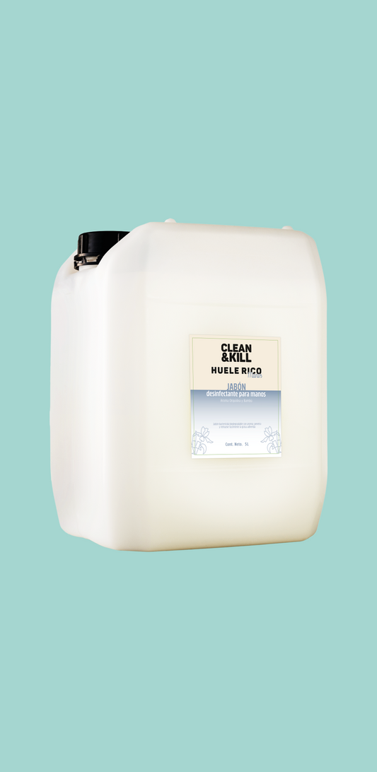 LAVAMANOS HUELE RICO 5L